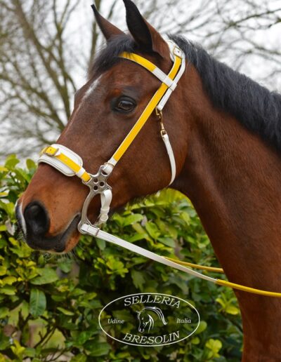 ENDB1 BRIGLIA HACKMORE IN BIOTHANE